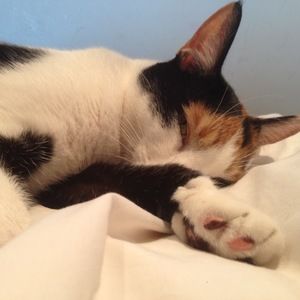 Meet your Posher, Spooky